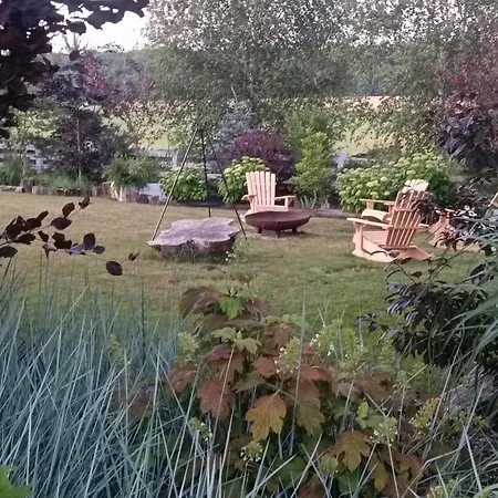 Dom wakacyjny Sosnowy Gaj