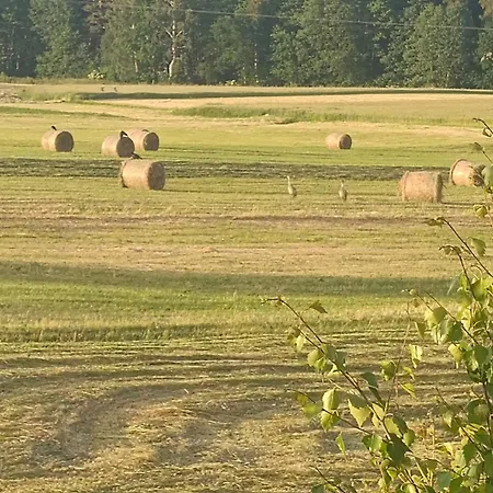 Sosnowy Gaj بيت للعطل *