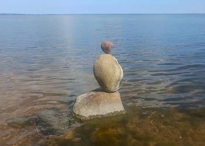 Sosnowy Gaj * Slawutowo