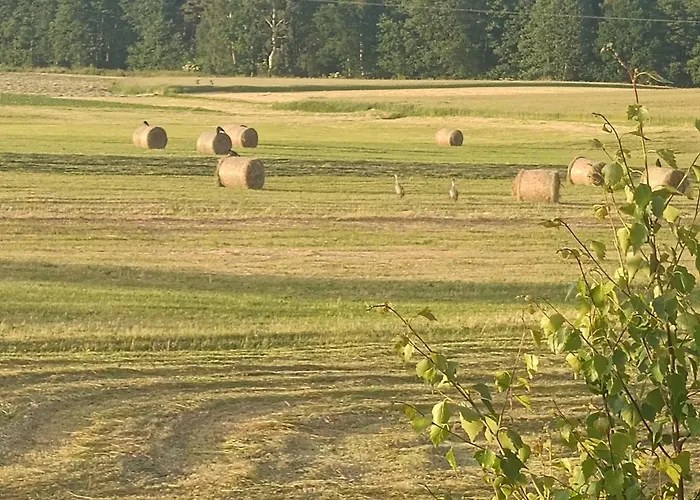 Sosnowy Gaj בית נופש *